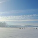 Niesamowita Dolina * Zdonia